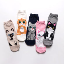 Load image into Gallery viewer, 5 pairs cute cotton cat socks