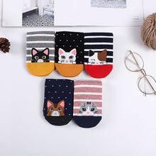 Load image into Gallery viewer, Artfasion's Anti-Slip Cat Socks for Women - Cute and Practical Footwear (5 Pairs)