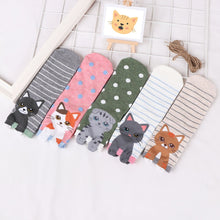 Load image into Gallery viewer, 5 stripes cat socks