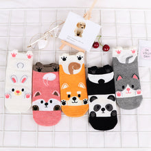 Load image into Gallery viewer, 5 pairs cute animal ankle socks
