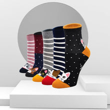 Load image into Gallery viewer, Artfasion Cute Cat Design Socks for Women, 5 Pairs