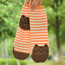 Load image into Gallery viewer, orange stripes cat design socks
